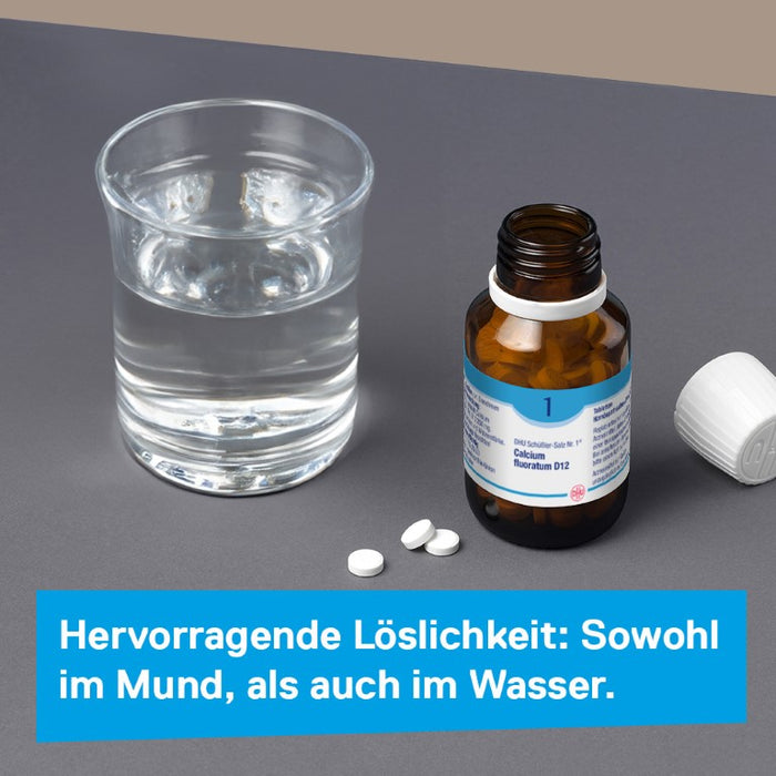 DHU Schüßler-Salz Nr. 1 Calcium fluoratum D12, 200 pcs. Tablets