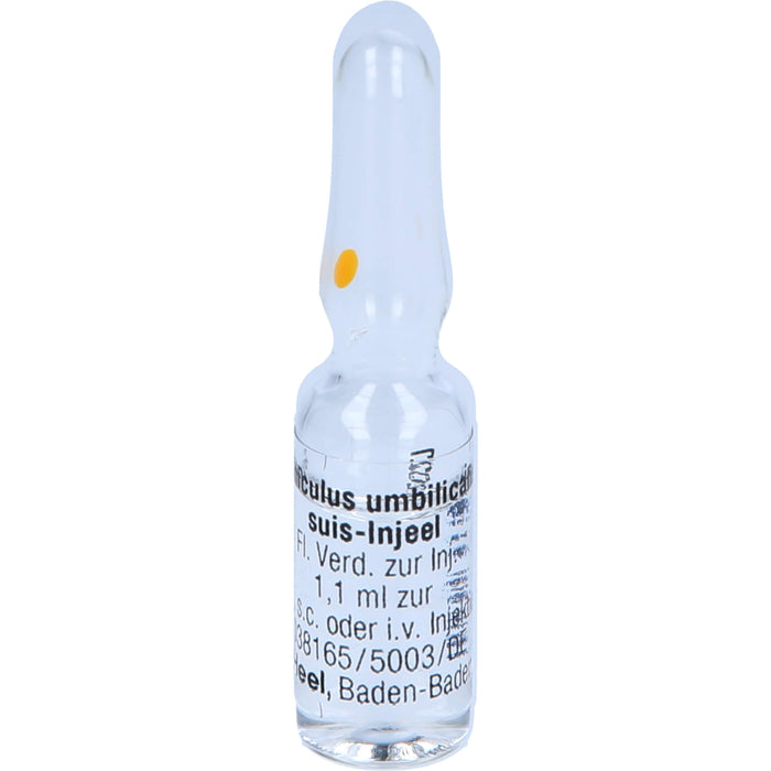 Funiculus umbilicalis suis-Injeel Inj.-Lsg., 10 pc Ampoules