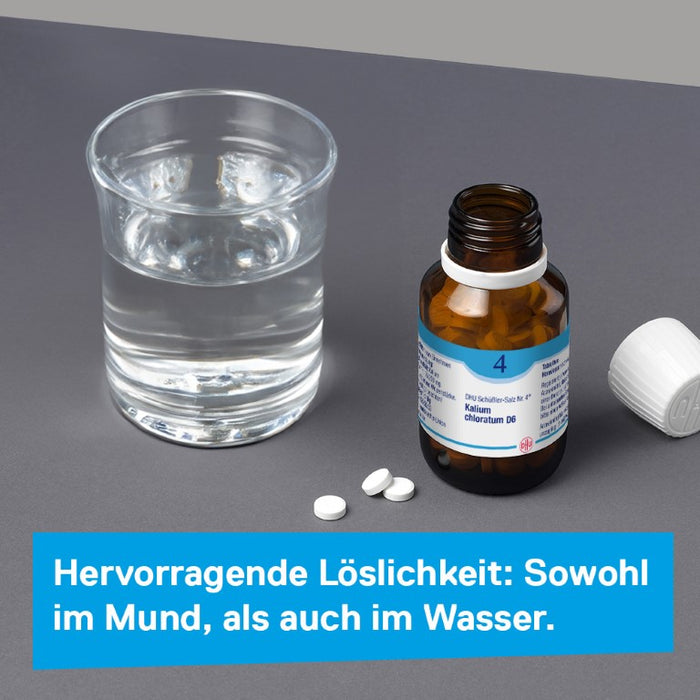 DHU Schüßler-Salz Nr. 4 Kalium chloratum D6, 420 pcs. Tablets