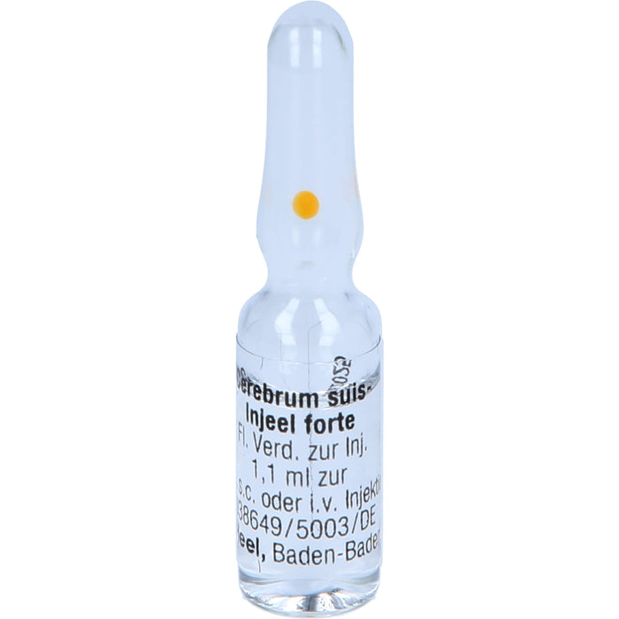 Cerebrum suis-Injeel forte flüssige Verdünnung, 10 pcs. Ampoules