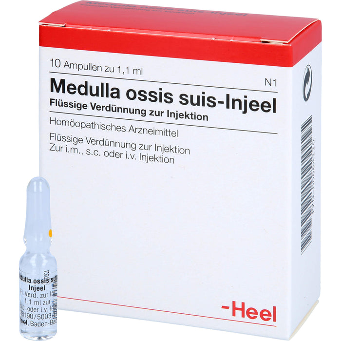Medulla ossis suis-Injeel Inj.-Lsg., 10 pc Ampoules