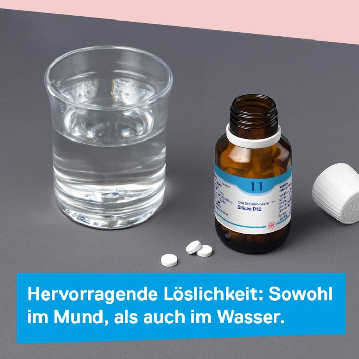 DHU Schüßler-Salz Nr. 11 Silicea D12, 900 St. Tabletten