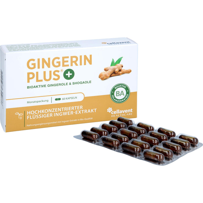 Gingerin Plus hochkonzentriertes flüssiges Ingwer-Extrakt Kapseln, 60 St. Kapseln