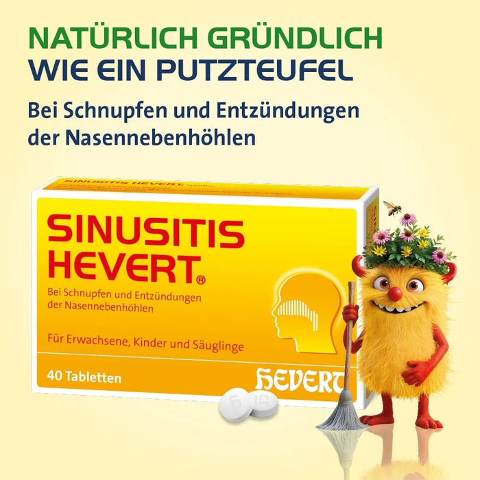 Sinusitis Hevert, 300 St TAB
