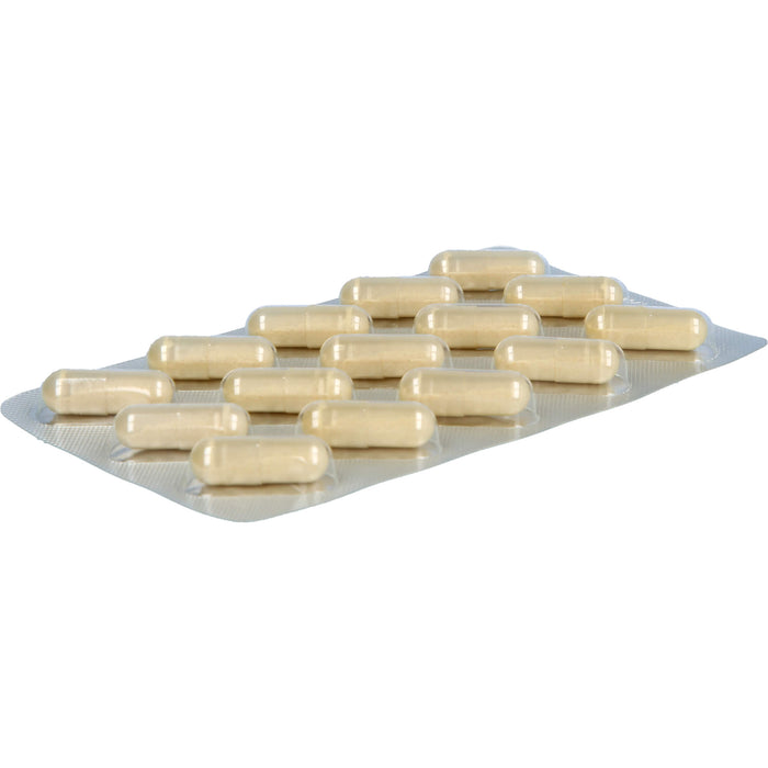 MensSana Enzyme akut Kapseln, 15 pcs. Capsules