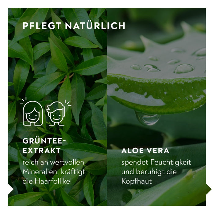 BIO-H-TIN Sanftes Pflege-Shampoo, 200 ml Shampoo