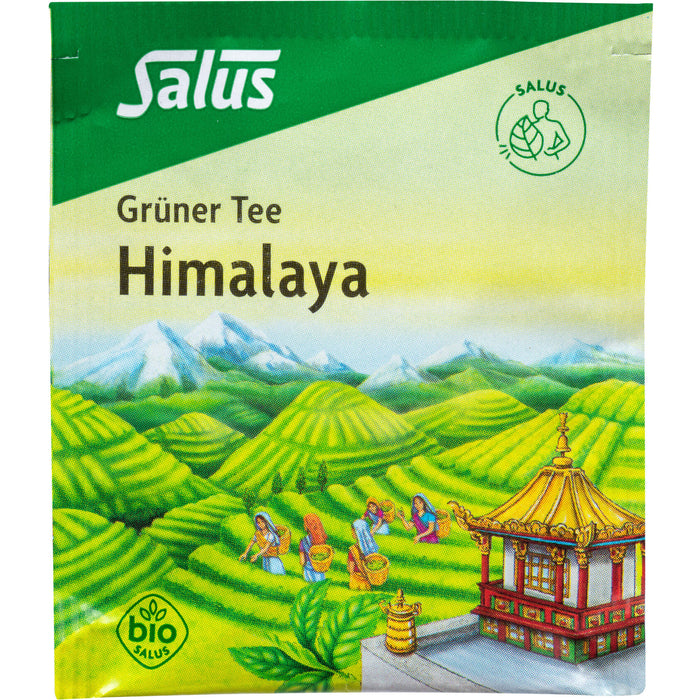 Salus Grüner Tee Himalaya fein aromatisch, zart-blumig, 15 St. Filterbeutel