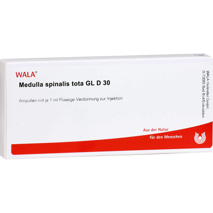 WALA Medulla Spinalis tota Gl D30 flüssige Verdünnung, 10 pcs. Ampoules