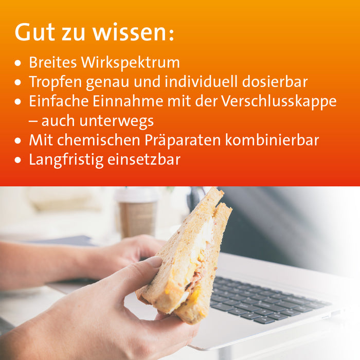 Digesto Hevert injekt zur Regulierung gestörter Verdauungsfunktionen, 10 pc Ampoules