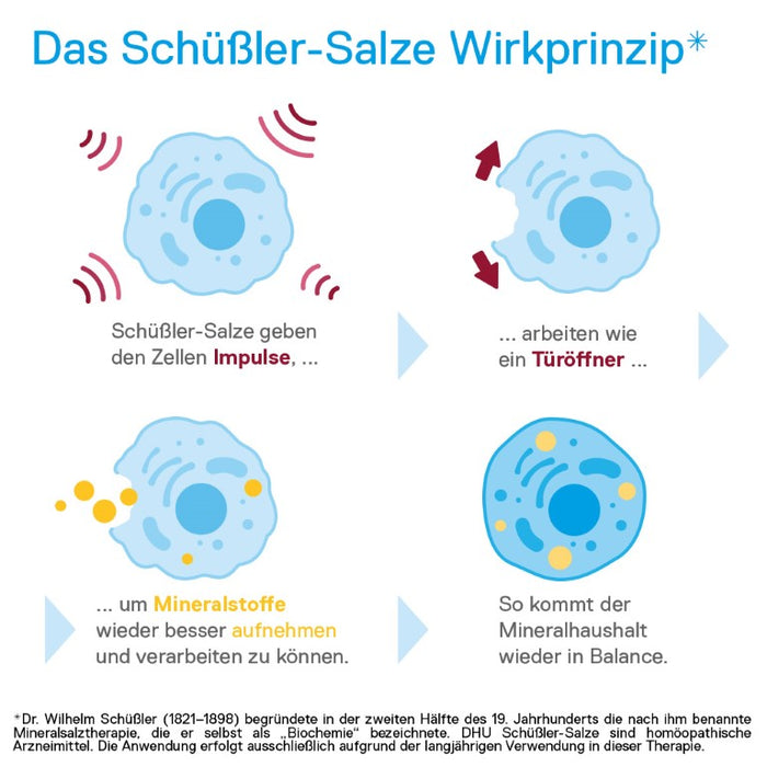 DHU Schüßler-Salz Nr. 2 Calcium phosphoricum D6, 80 St. Tabletten