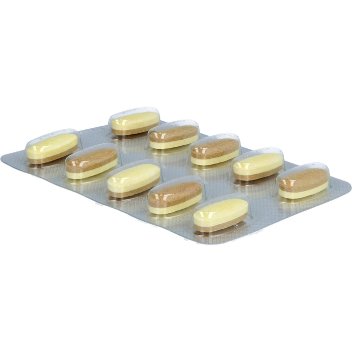 Cetebe Immun Aktiv Tabletten für eine normale Funktion des Immunsystems, 60 pc Tablettes