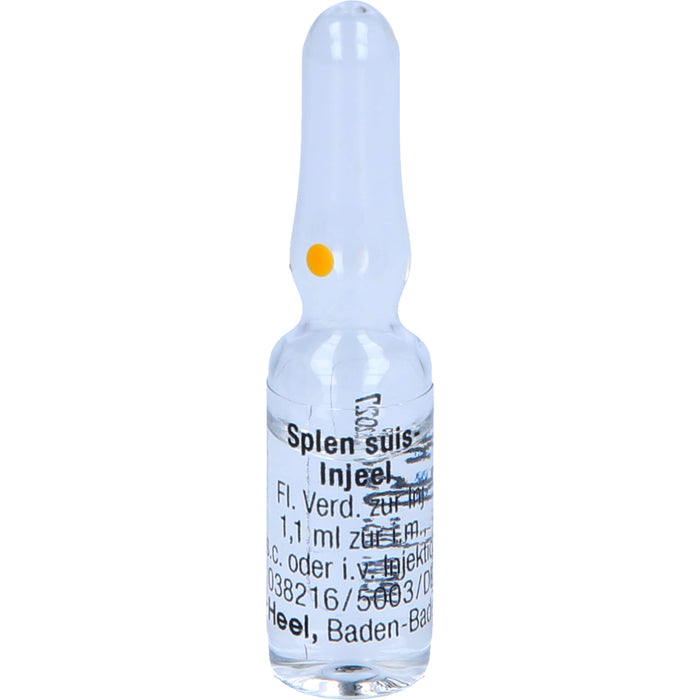 Splen suis-Injeel Inj.-Lsg., 10 pcs. Ampoules