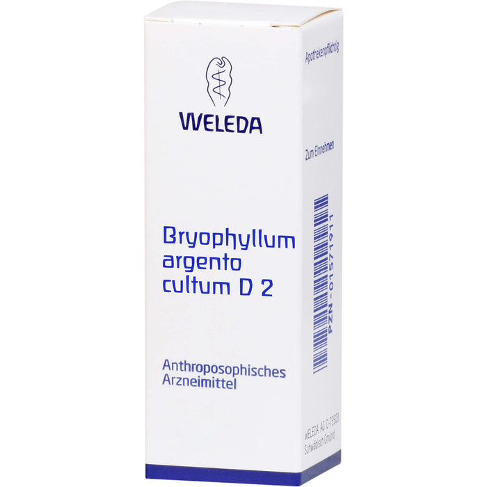 Bryophyllum Argento cultum D2 WELEDA Dil., 50  