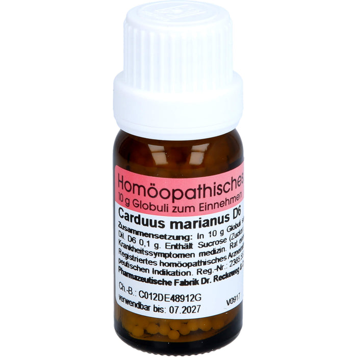 Dr. Reckeweg Carduus marianus D6 Globuli, 10 g Globules