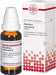 DHU Passiflora incarnata ø Urtinktur, 20 ml Lösung