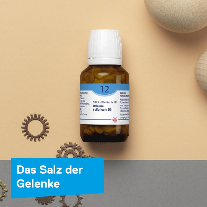 DHU Schüßler-Salz Nr. 12 Calcium sulfuricum D6, 420 St. Tabletten