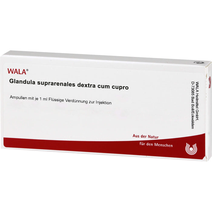 WALA Glandula Suprarenalis dextra cum Cupro flüssige Verdünnung, 10 pc Ampoules