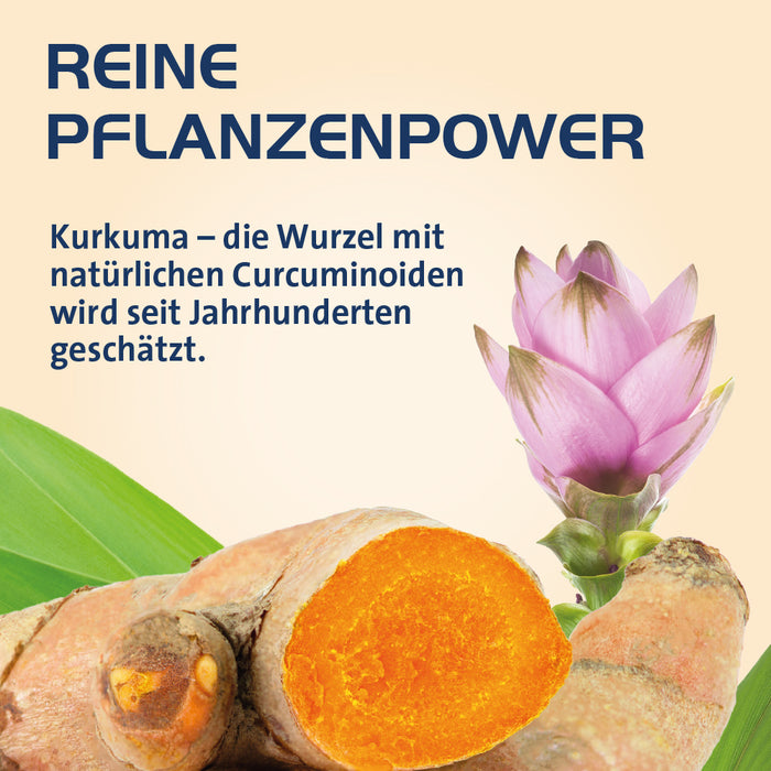 Curcumin Hevert OptiSolv Tabletten, 60 pcs. Tablets