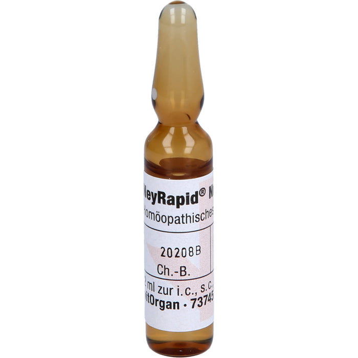 NeyRapid Nr. 11 D7 Ampullen, 5 ml Solution