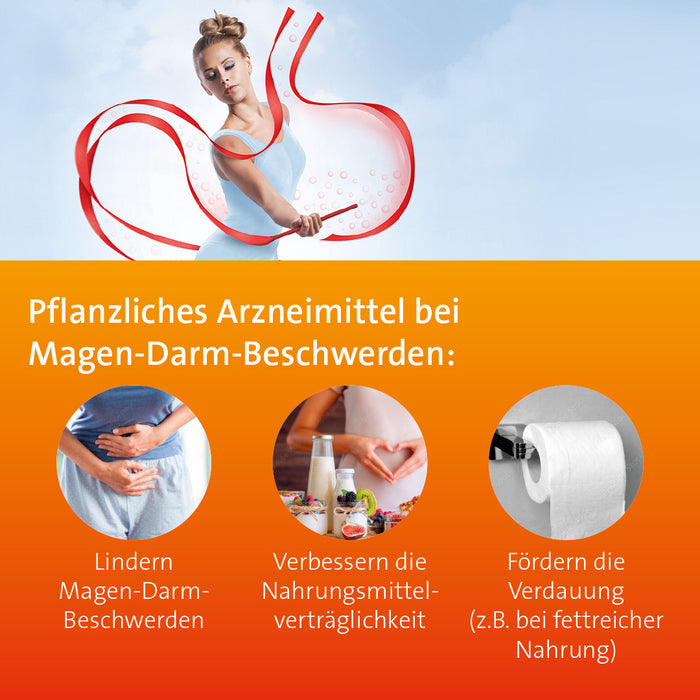 Digesto Hevert injekt zur Regulierung gestörter Verdauungsfunktionen, 10 pc Ampoules