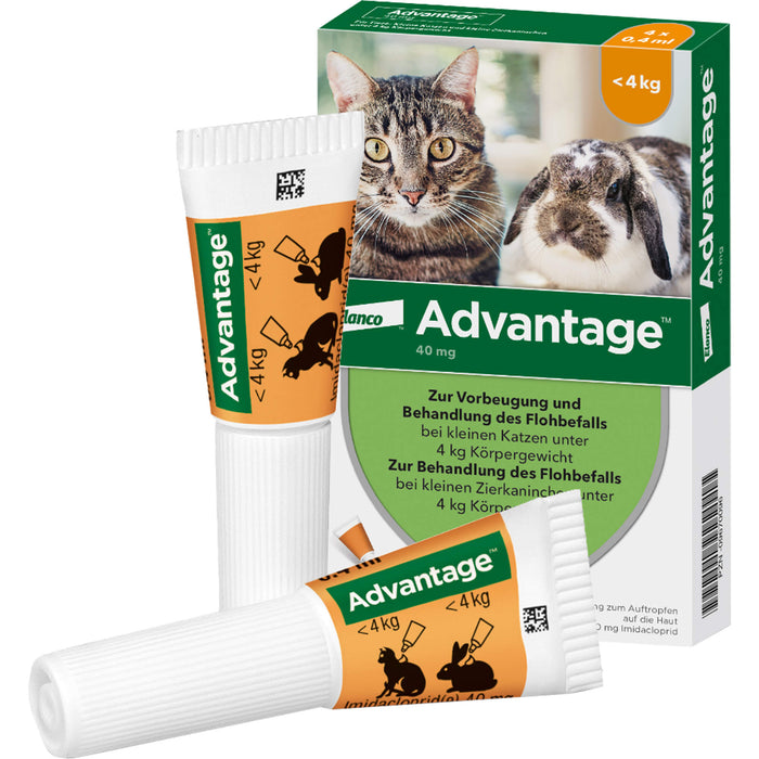advantage 40 mg zur Vorbeugung und Behandlung des Flohbefalls bei Katzen und Zierkaninchen bis 4 kg, 4 pc Récipients à dose unique