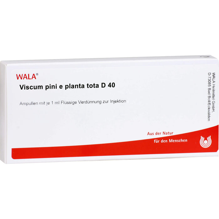 WALA Viscum Pini e planta tota D40 flüssige Verdünnung, 10 pcs. Ampoules