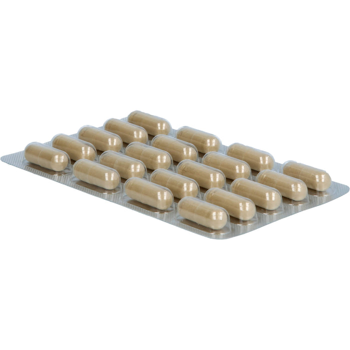 Luvos Heilerde ultrafein akut Kapseln bei Sodbrennen, 100 pcs. Capsules