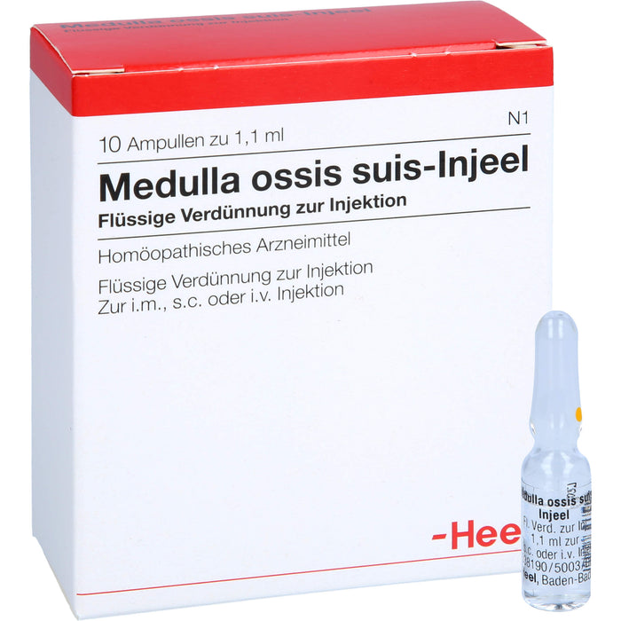 Medulla ossis suis-Injeel Inj.-Lsg., 10 pc Ampoules