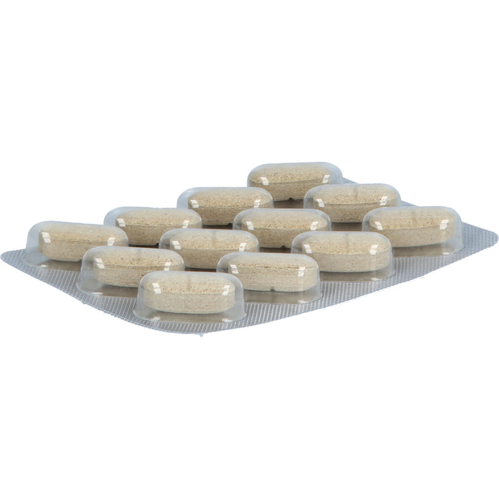 GSE Repair Rapid Acid FS Tabletten, 36 St. Tabletten