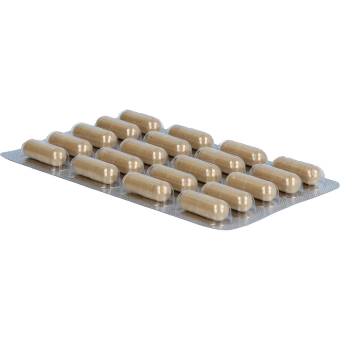 Luvos Heilerde ultrafein akut Hartkapseln zur Einnahme bei Sodbrennen, 60 pc Capsules