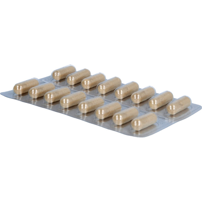 Ginkgo Biloba Kapseln, 48 St KAP