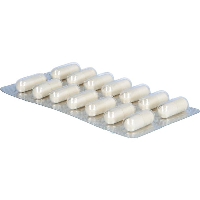 N1 Appetitzügler Kapseln Forte bei starkem Übergewicht, 42 pcs. Capsules
