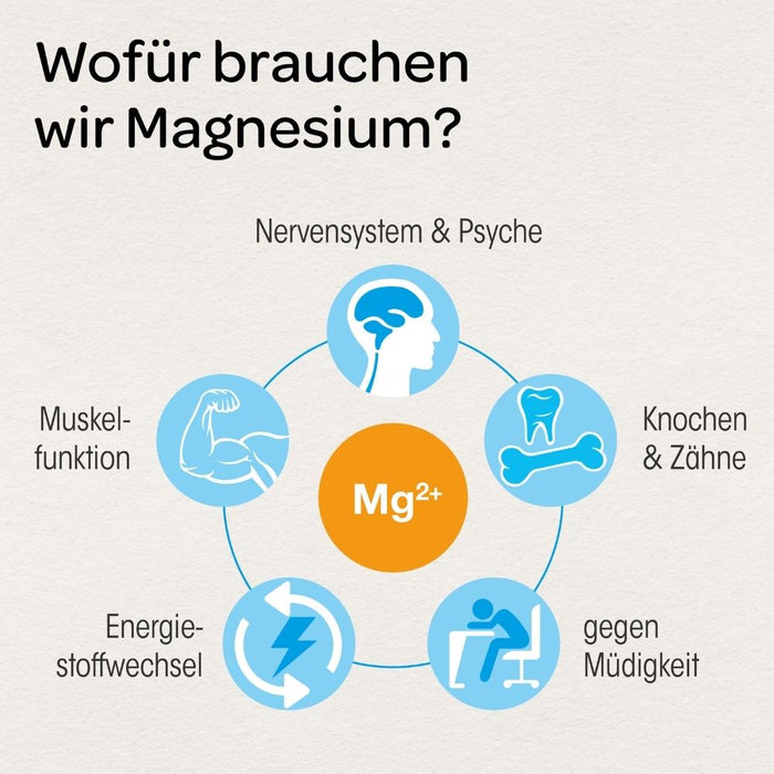 Dr. Böhm Magnesium nur 1 Dragee täglich für Muskeln, Nerven und Energiestoffwechsel, 90 St. Dragees