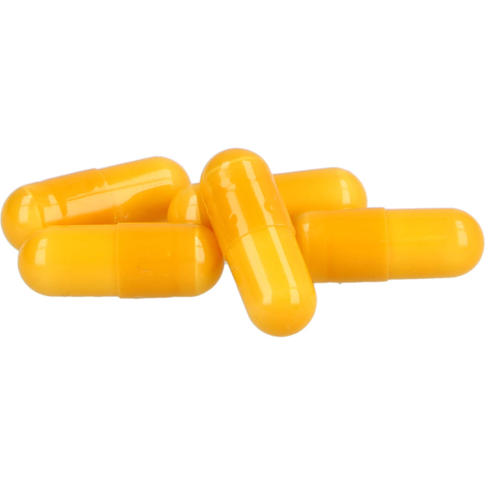 Allergoval Kapseln bei Nahrungsmittelallergie, 100 pcs. Capsules