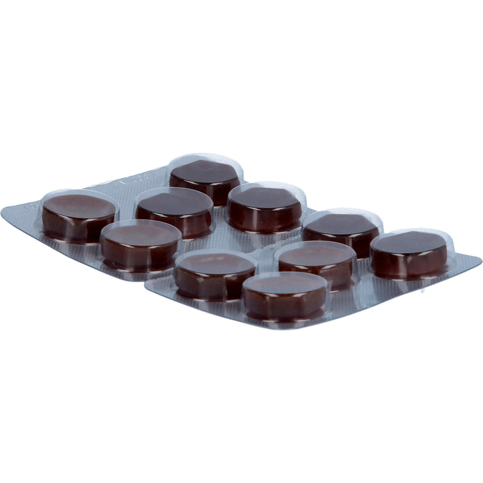Sanotact Cistus Infekt Pastillen zur Abwehr von Viren und Bakterien, Reizhustenlinderung, 30 pc Pastilles