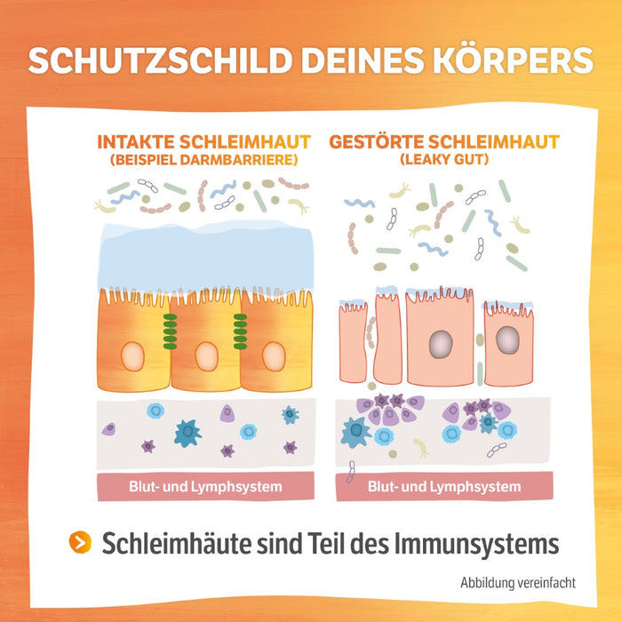 HELIXOR Sanomucin 3-fach Unterstützung für Schleimhäute, 60 pc Capsules