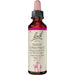 Bach-Blüte Sweet Chestnut, 20 ml Lösung