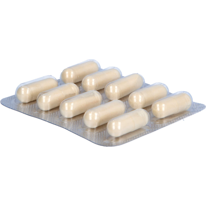 Thymus-Köhler Kapseln für eine gesunde Funktion des Immunsystems, 90 St. Kapseln