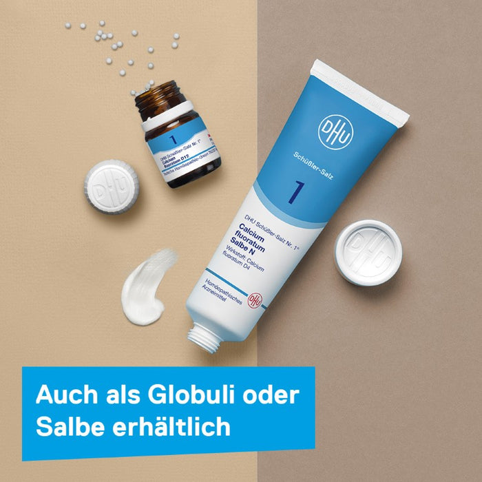 DHU Schüßler-Salz Nr. 1 Calcium fluoratum D12, 420 pcs. Tablets