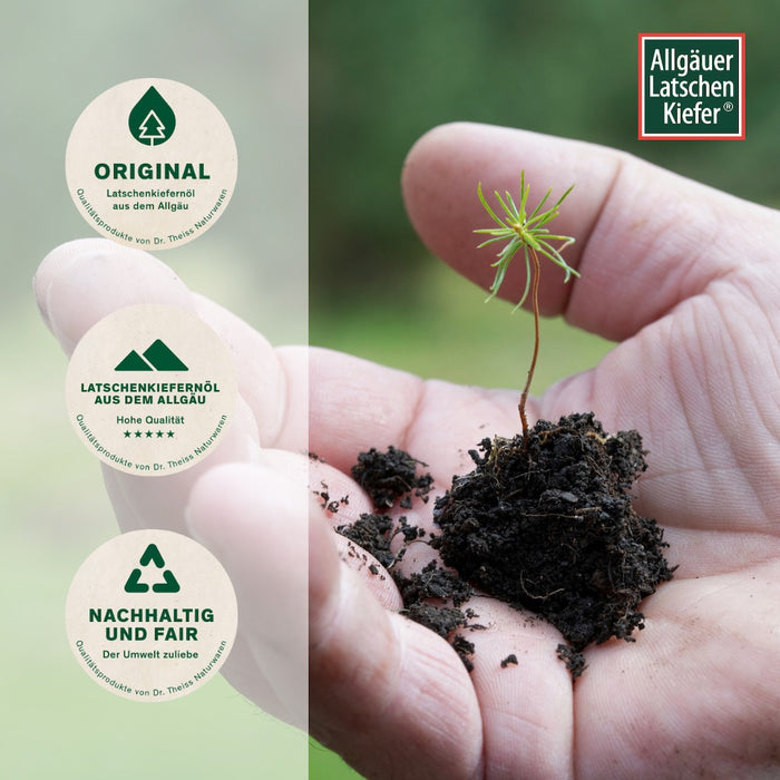 Allgäuer Latschenkiefer Franzbranntwein, 250 ml Lösung