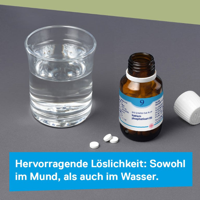 DHU Schüßler-Salz Nr. 9 Natrium phosphoricum D6, 80 pcs. Tablets