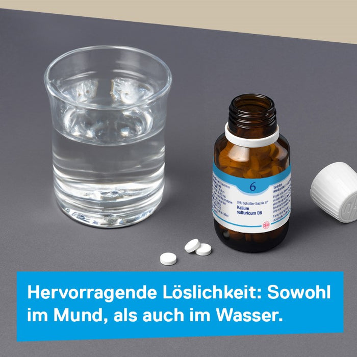 DHU Schüßler-Salz Nr. 6 Kalium sulfuricum D12 – Das Mineralsalz der Entschlackung – das Original – umweltfreundlich im Arzneiglas, 80 pcs. Tablets
