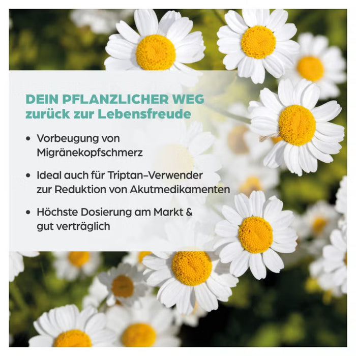 Dr. Böhm Mutterkraut Apomedica 200 mg, 60 pc Tablettes