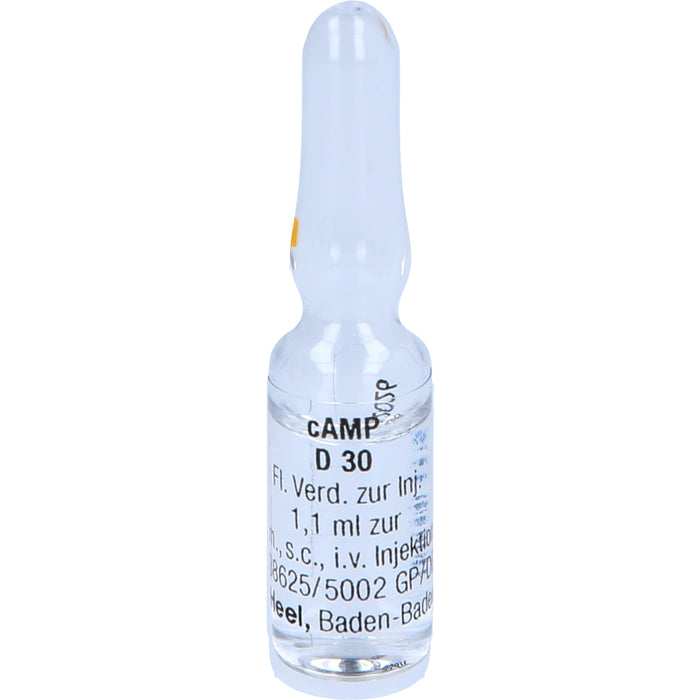 Heel cAMP D30 flüssige Verdünnung, 10 pc Ampoules