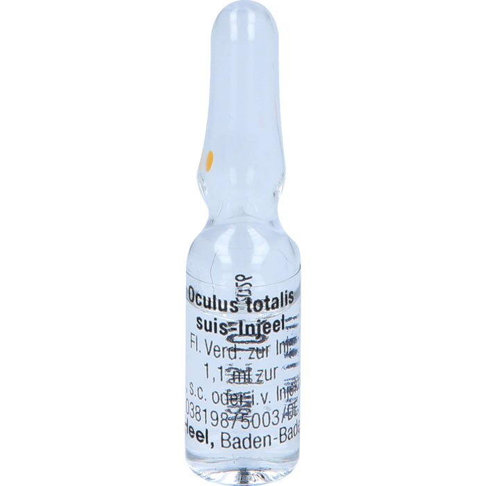 Heel Oculus totalis suis-Injeel flüssige Verdünnung, 10 pcs. Ampoules