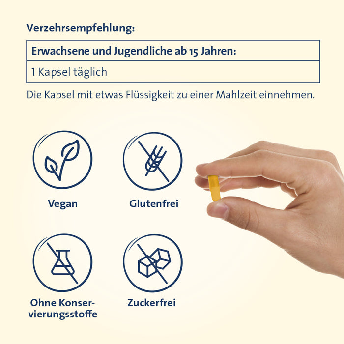 Vitamin B Complete Hevert All-in-One mit allen 8 Vitaminen des B-Komplexes und 4 bioaktiven Vitaminoiden, 120 pcs. Capsules