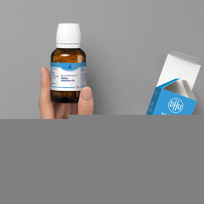 DHU Schüßler-Salz Nr. 4 Kalium chloratum D6, 420 pcs. Tablets