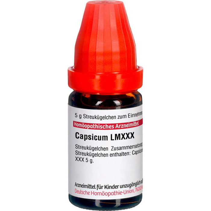 Capsicum LM XXX DHU Globuli, 5 g Globules