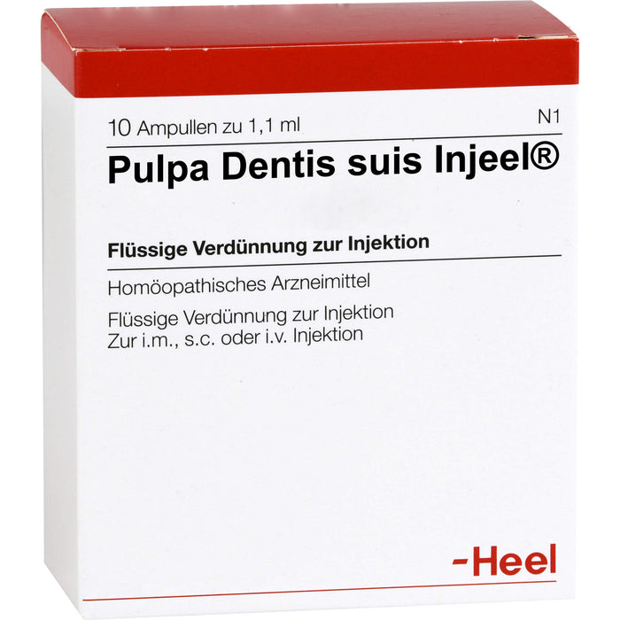 Heel Pulpa dentis suis-Injeel flüssige Verdünnung, 10 pc Ampoules