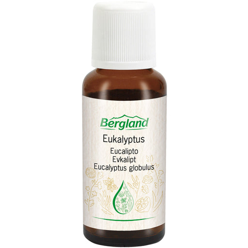 Eukalyptus Öl Natürlich, 30 ml Öl